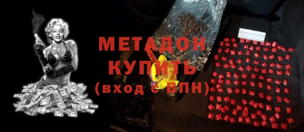 индика Арсеньев