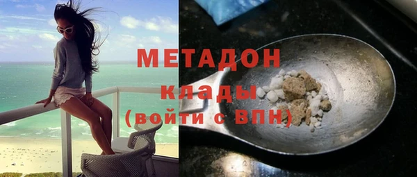 индика Арсеньев