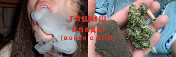 шишки Бородино