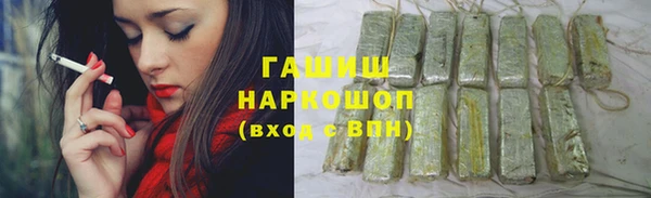 индика Арсеньев