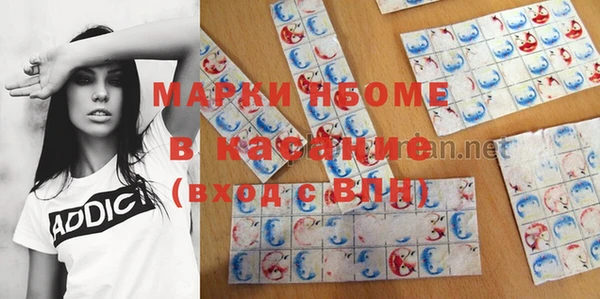 индика Арсеньев