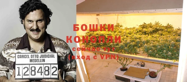 индика Арсеньев