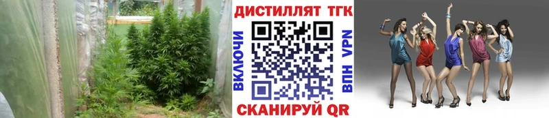 Дистиллят ТГК Wax  Калязин 